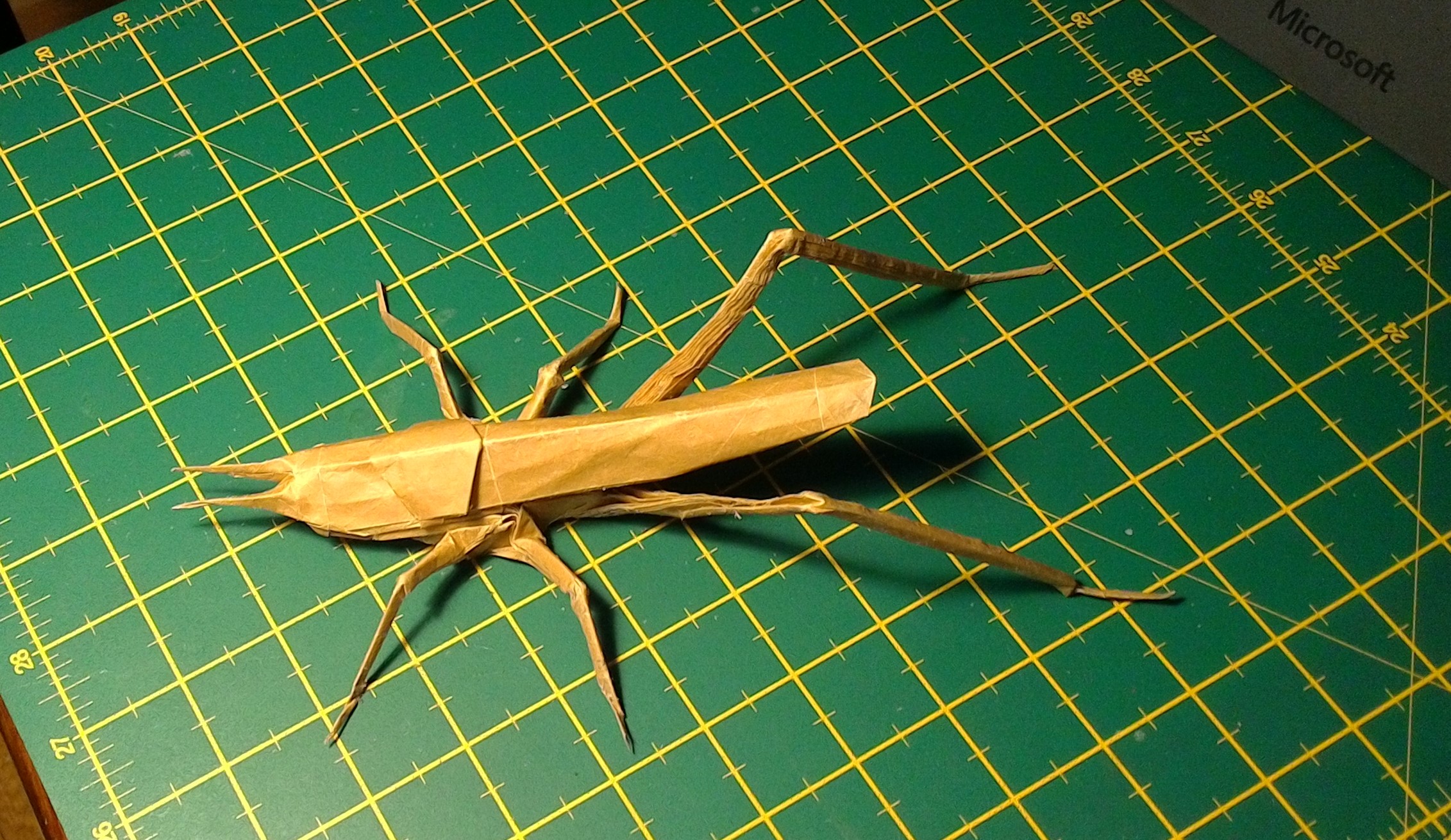 model image